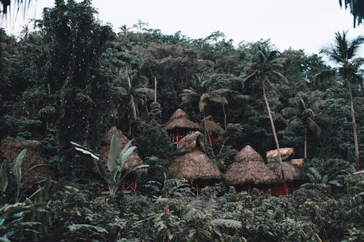 Rainforest Jewel Peru Treehouse Lodge